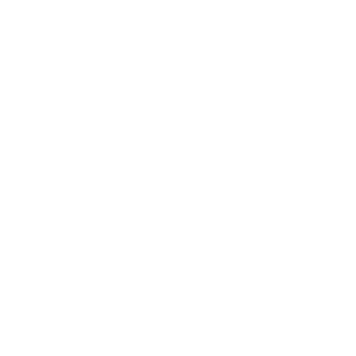 logo-blinkblank